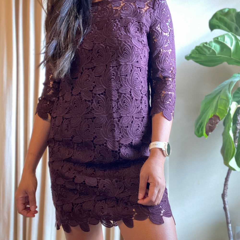 Loft Lace Dress NWT